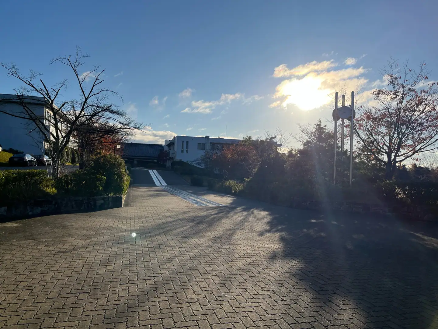 夕日に照らされた校舎